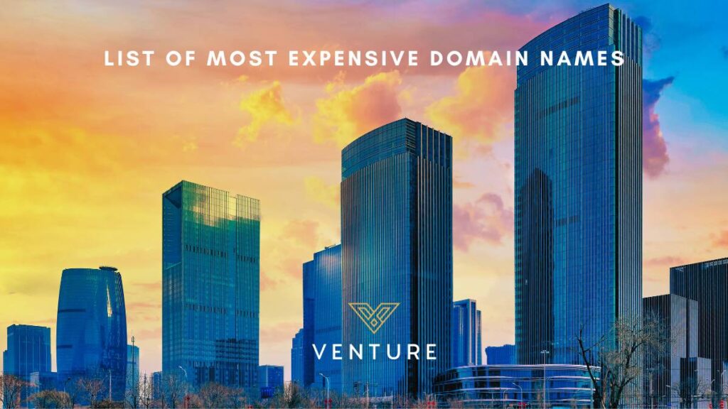 The Most Expensive Domain Names: How You Can Acquire Them, Venture Blog