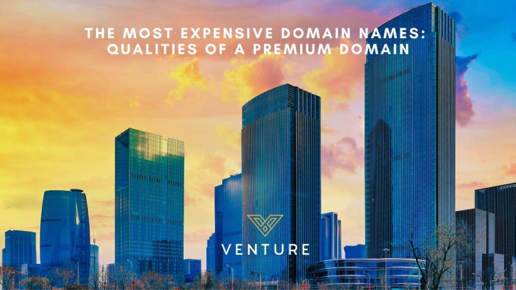 The Most Expensive Domain Names: How You Can Acquire Them, Venture Blog