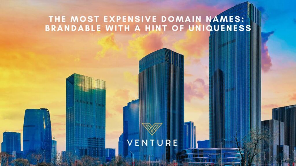 The Most Expensive Domain Names: How You Can Acquire Them, Venture Blog