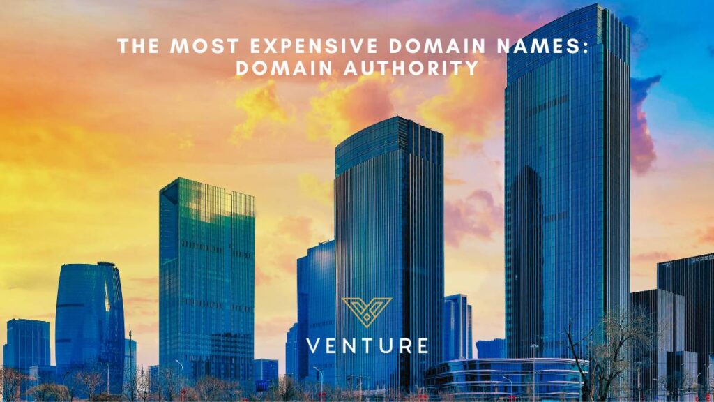 The Most Expensive Domain Names: How You Can Acquire Them, Venture Blog