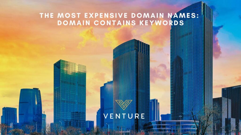The Most Expensive Domain Names: How You Can Acquire Them, Venture Blog